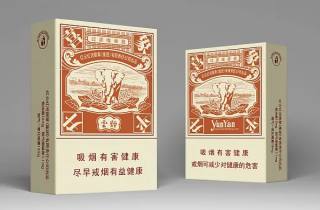 礼品烟送礼300元一条的烟令人满意，称心如意。